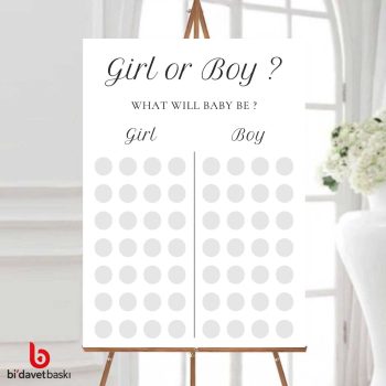 Cinsiyet Partisi Bekarlığa Veda Karşılama Panosu