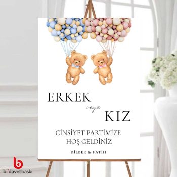 Cinsiyet Partisi Bekarlığa Veda Karşılama Panosu