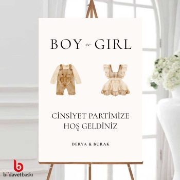 Cinsiyet Partisi Bekarlığa Veda Karşılama Panosu