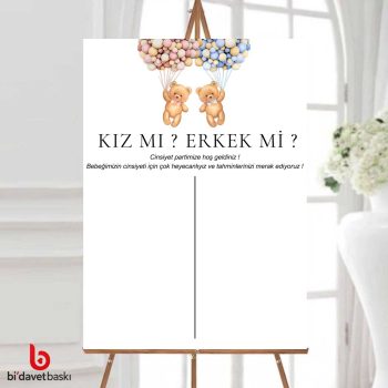 Cinsiyet Partisi Bekarlığa Veda Karşılama Panosu