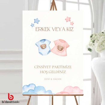 Cinsiyet Partisi Bekarlığa Veda Karşılama Panosu