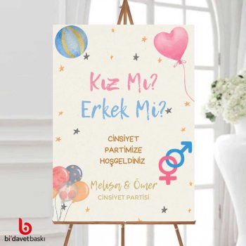 Cinsiyet Partisi Bekarlığa Veda Karşılama Panosu