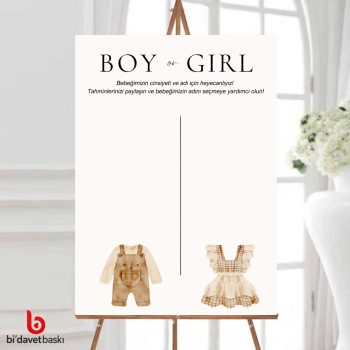 Cinsiyet Partisi Bekarlığa Veda Karşılama Panosu