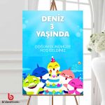 Çocuk Doğum Günü Karşılama Panosu
