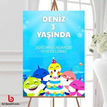Çocuk Doğum Günü Karşılama Panosu